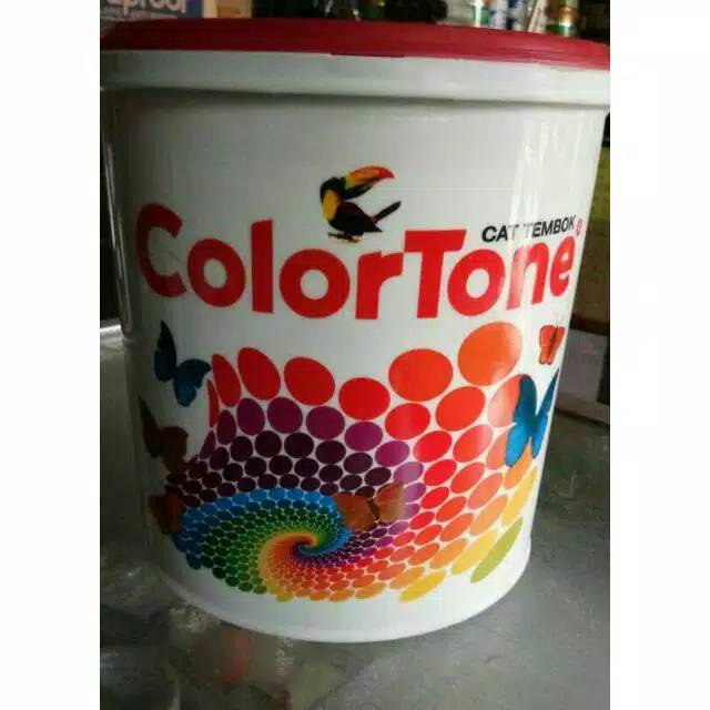 cat colortone pail NBD